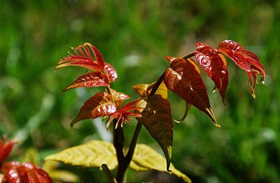 方形橫流式冷卻塔由什么組成?(方形橫流冷卻塔怎么安裝視頻)