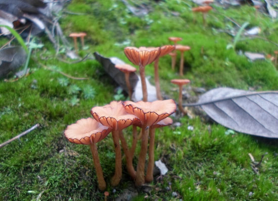 密閉式冷卻塔出水量溫度過高難題可以這樣解決