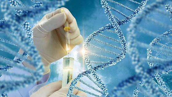 廣東冷卻塔廠家:冷卻塔收水器@冷卻塔收水器的安裝及功效(廣東冷卻塔收水器廠家)